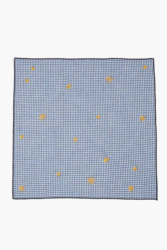 Chan Luu Blue Gingham Embroidered Napkin Set Best