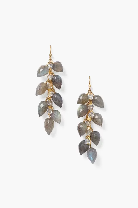 Chan Luu Delphine Drop Earrings Labradorite Best Sale