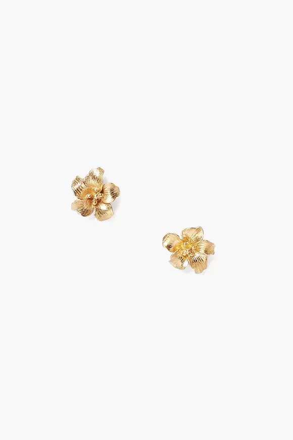 Chan Luu Gold Hibiscus Stud Earrings Clearance