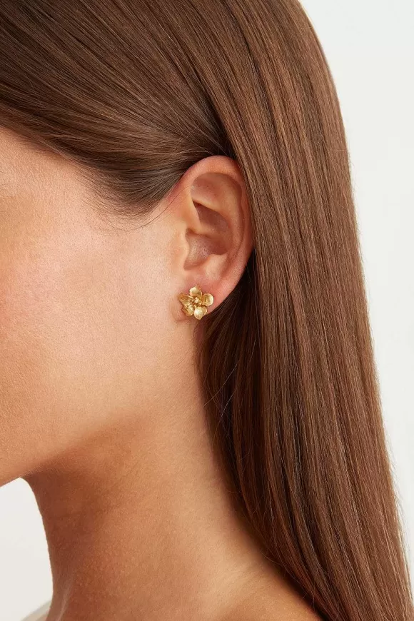 Chan Luu Gold Hibiscus Stud Earrings Clearance