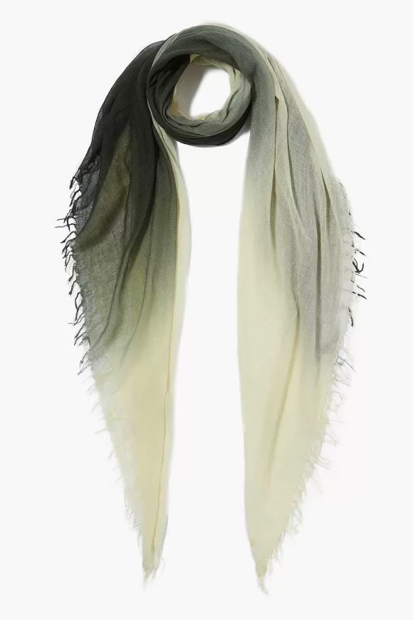 Chan Luu Kombu Green Dip-Dyed Cashmere And Silk Scarf Store