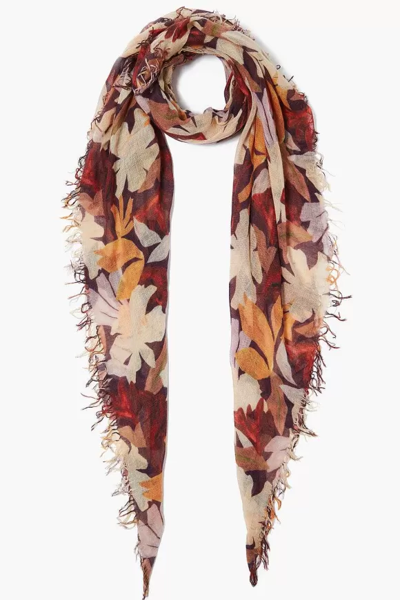 Chan Luu Magnolia Floral Print Cashmere And Silk Scarf Cheap