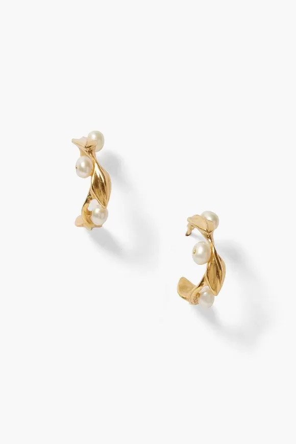 Chan Luu Olive Branch Hoop Earrings Mini Gold Fashion