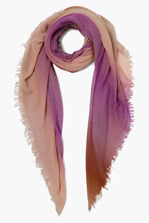 Chan Luu Orchid Ombre Cashmere Scarf Sale