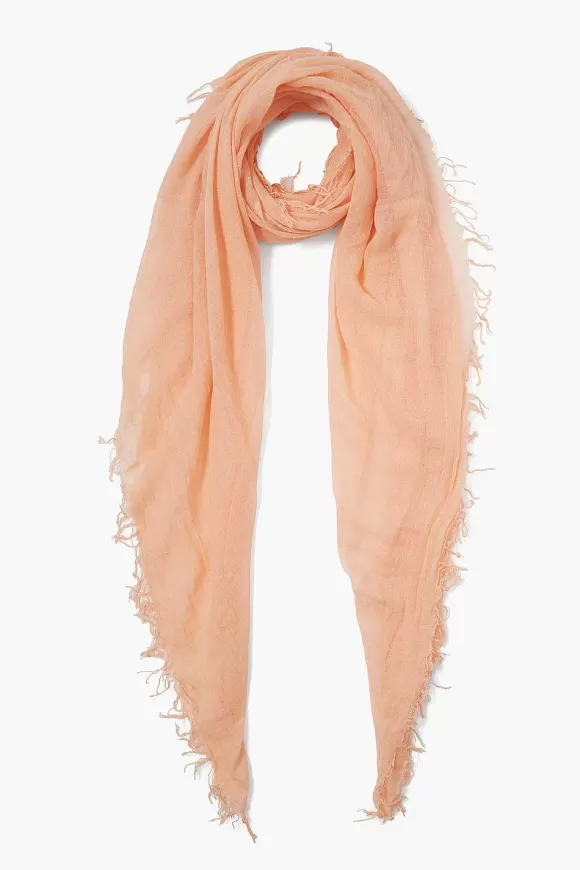 Chan Luu Peach Cashmere And Silk Scarf Store