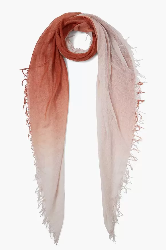 Chan Luu Picante Dip-Dyed Cashmere And Silk Scarf Cheap