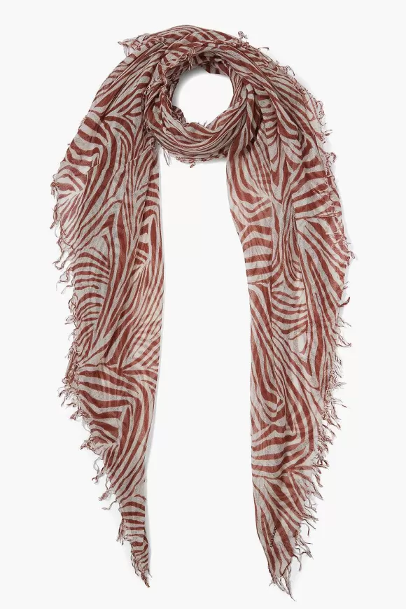 Chan Luu Sequoia Zebra Print Cashmere And Silk Scarf Cheap