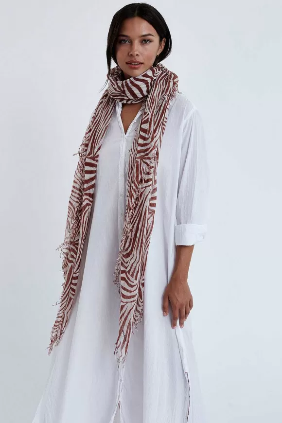 Chan Luu Sequoia Zebra Print Cashmere And Silk Scarf Cheap