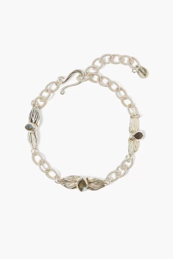 Chan Luu Sylve Bracelet Labradorite Cheap