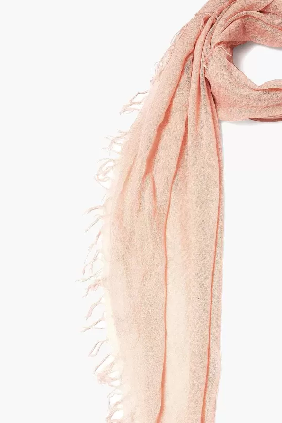 Chan Luu Tropical Peach Cashmere And Silk Scarf Outlet